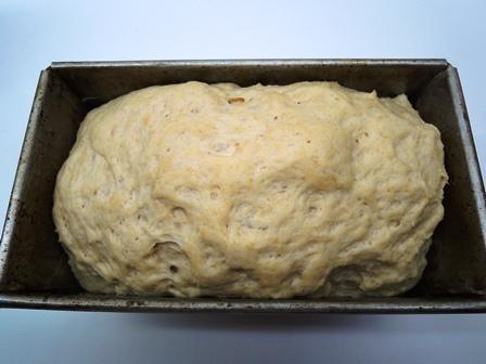 wm01ba06risen proofed dough